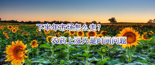 下半年市場怎么走？農(nóng)藥上漲只是時間問題