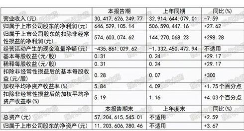 三大原藥生產(chǎn)公司發(fā)布半年報