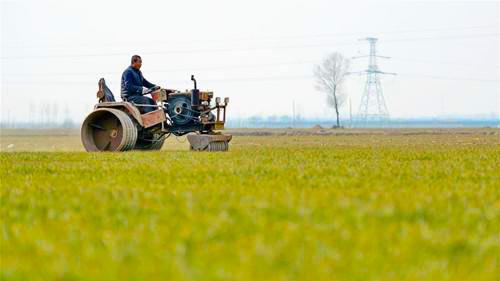 China's agricultural material supply sufficient for spring farming