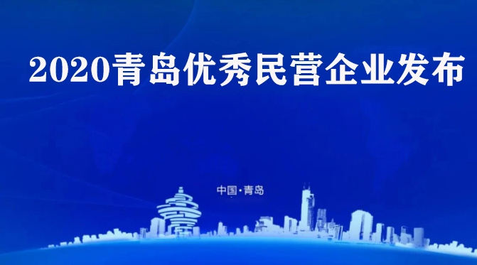 喜訊！海利爾藥業(yè)集團(tuán)榮獲2020青島優(yōu)秀民營企業(yè)